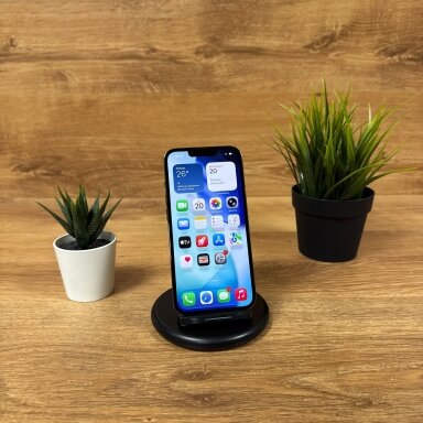 Apple iPhone 13 Pro 256GB Graphite | 100% Battery | B | Atnaujintas
