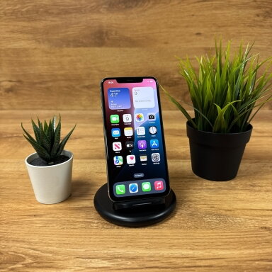 Apple iPhone XS Max 256GB Silver | 100% battery | B | Atnaujintas